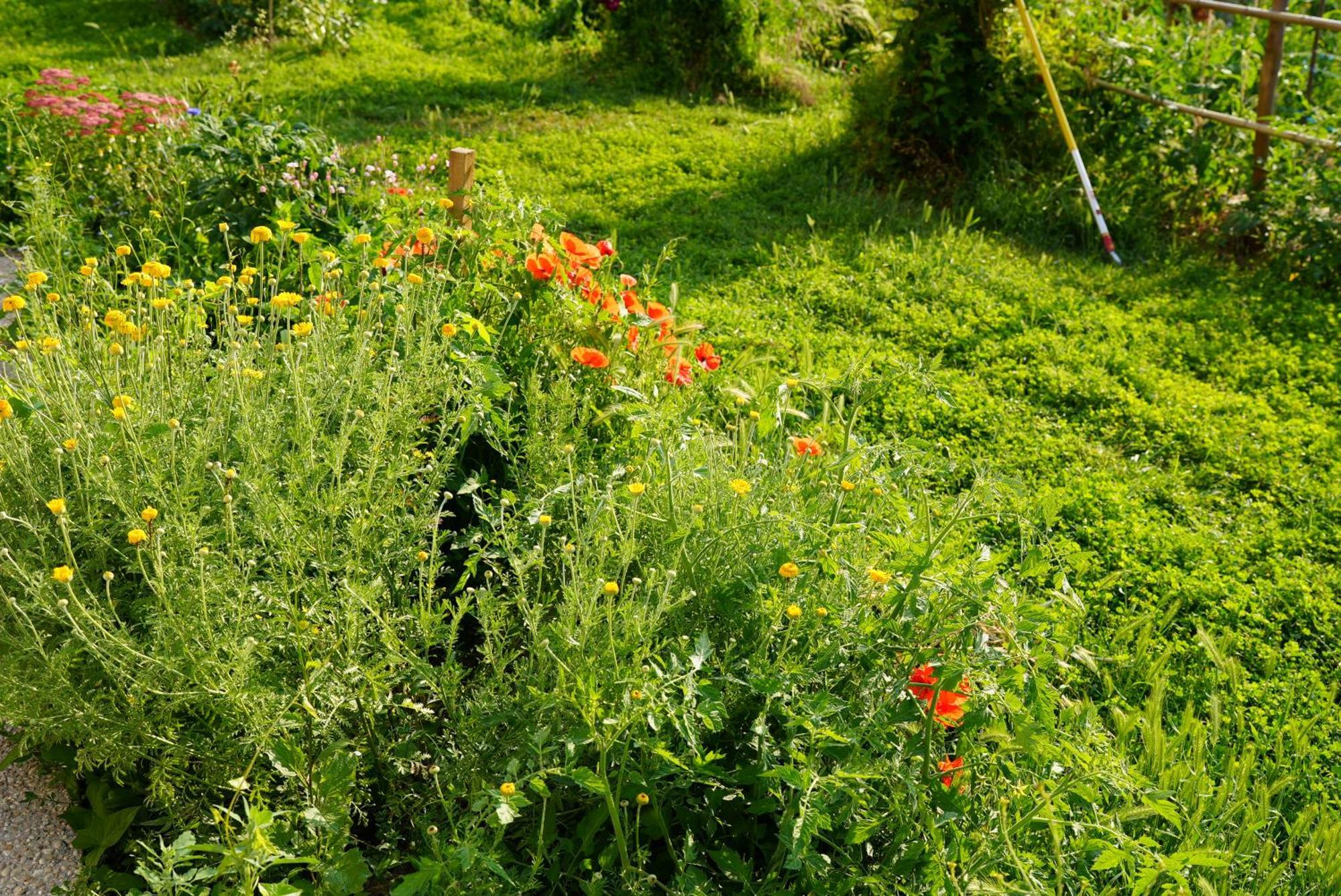 Les Jardins De Felicie Βίλα Poses Εξωτερικό φωτογραφία