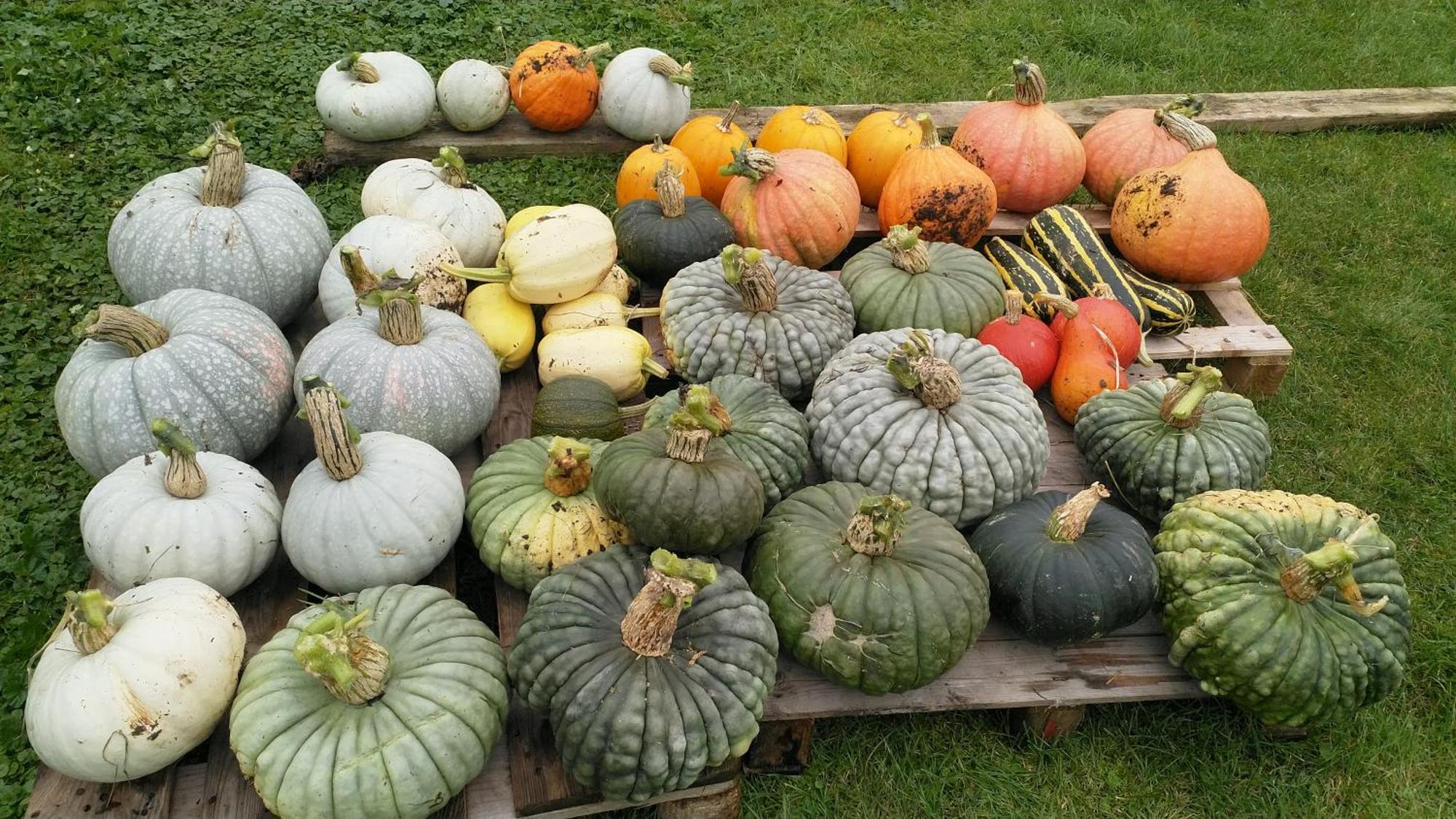 Les Jardins De Felicie Βίλα Poses Εξωτερικό φωτογραφία