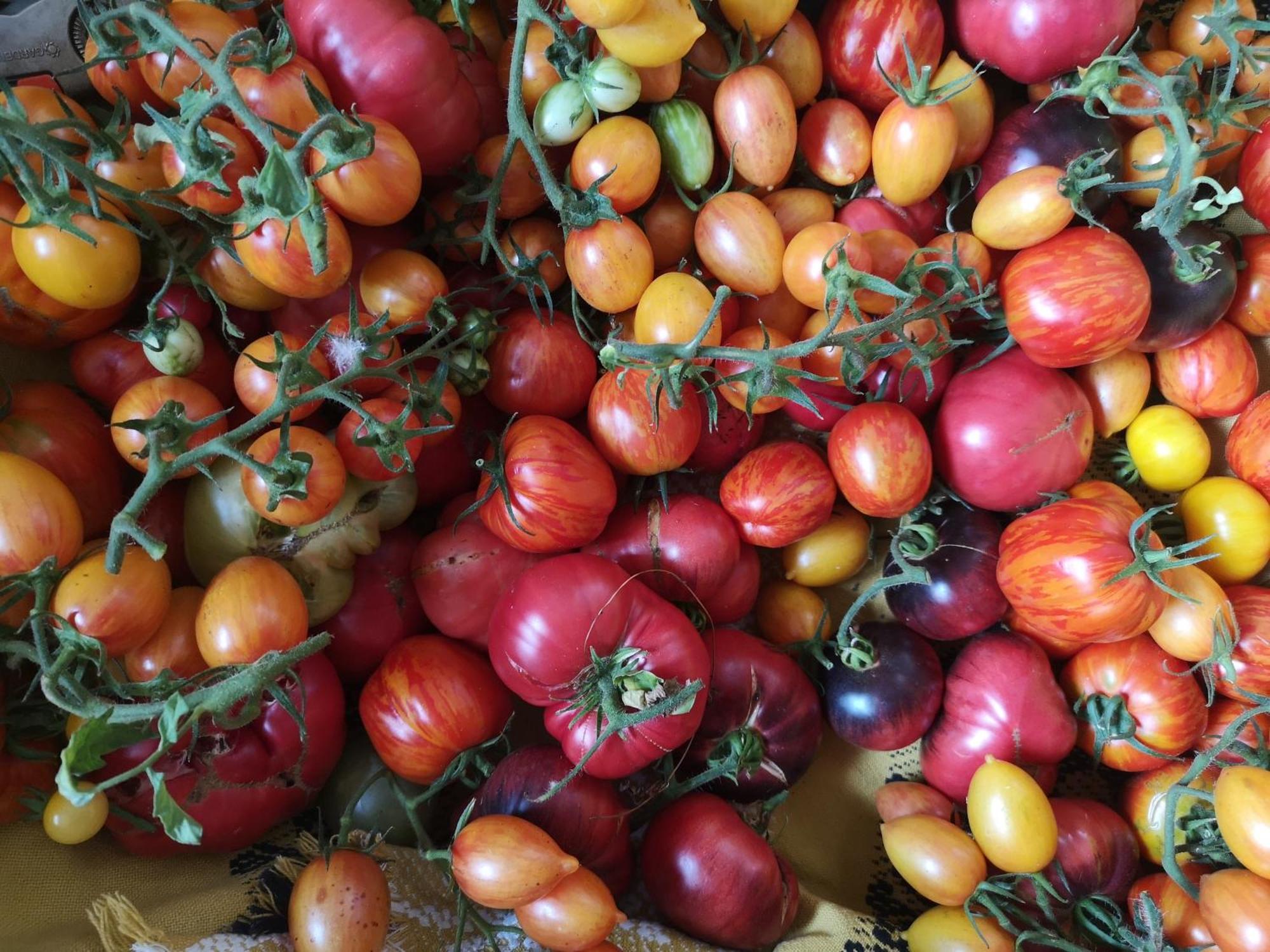 Les Jardins De Felicie Βίλα Poses Εξωτερικό φωτογραφία