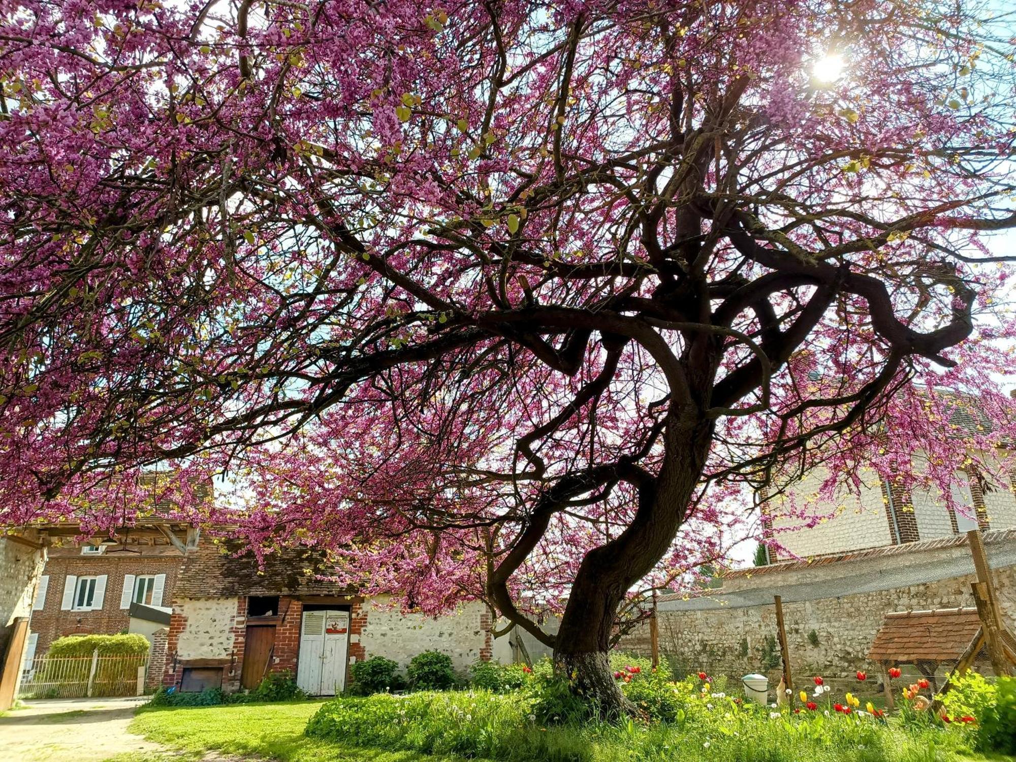 Les Jardins De Felicie Βίλα Poses Εξωτερικό φωτογραφία