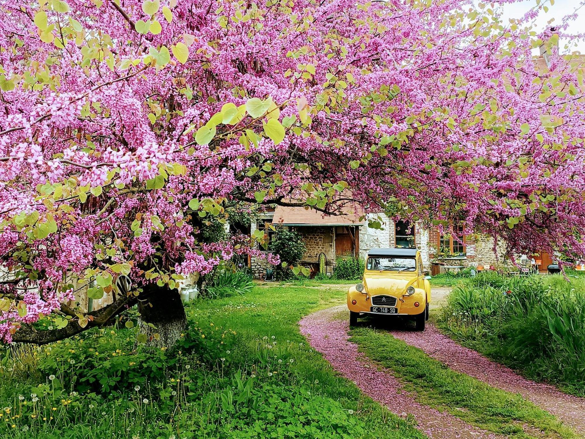 Les Jardins De Felicie Βίλα Poses Εξωτερικό φωτογραφία